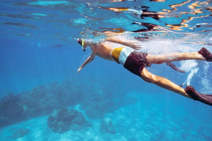 Coral Gardens Snorkel & Whale Watch - Lunch, Drinks, and What the $119 Covers