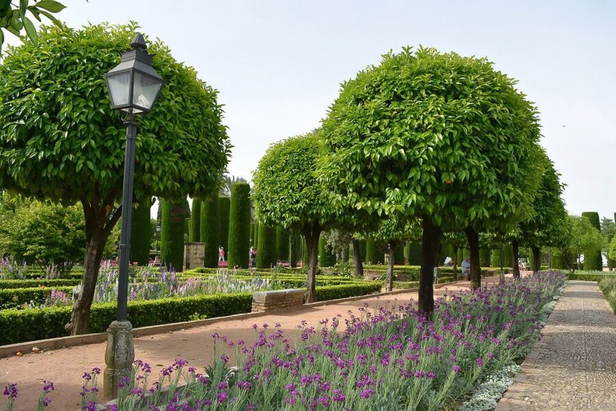 Cordóba: Gardens & Fortress of Catholic Monarchs Guided Tour - Is $35 a fair price?