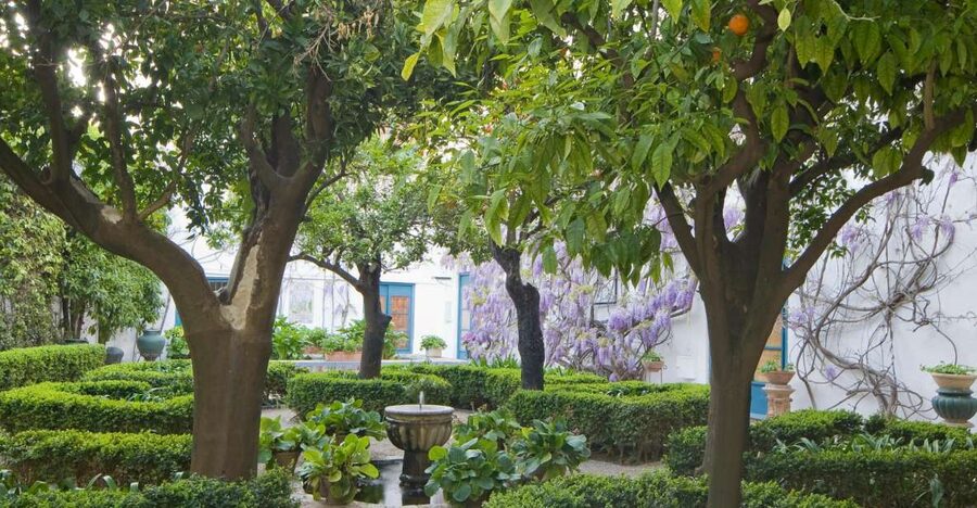 Córdoba: Viana Palace Gardens and Patios Entry Ticket - Key points to know before you go
