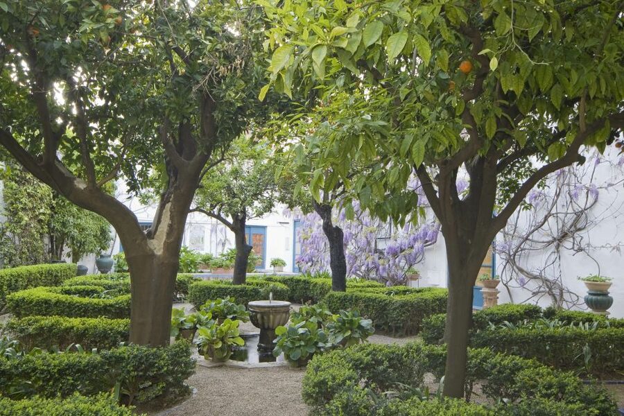Córdoba: Viana Palace Gardens and Patios Entry Ticket - Walking through 12 courtyards