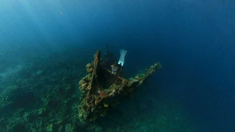 Coron: Barracuda Lake and Reef Garden Tour with Lunch - Who should book this Coron trip