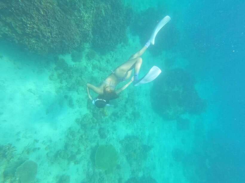 Coron: Dugong Watching with Sea Turtle and Coral Garden tour - Should you book the Coron dugong tour?