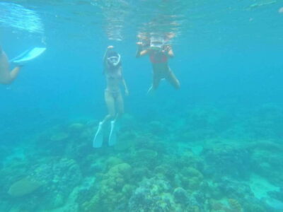 Coron: Dugong Watching with Sea Turtle and Coral Garden tour