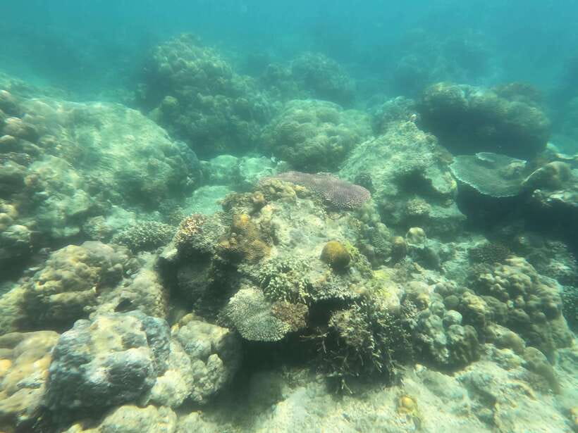 Coron: Dugong Watching with Sea Turtle and Coral Garden tour - What to pack for a long day at sea
