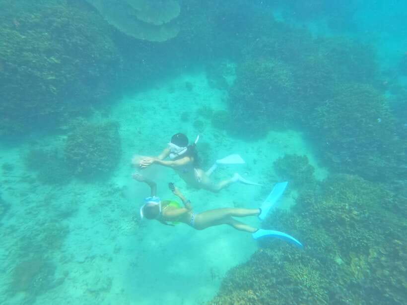 Coron: Dugong Watching with Sea Turtle and Coral Garden tour - Weather, animal welfare, and the real chance of success