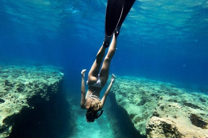 Coron Shipwrecks and Lusong Coral Garden tour (Private / Shared) - Why these Coron wrecks make a good first stop
