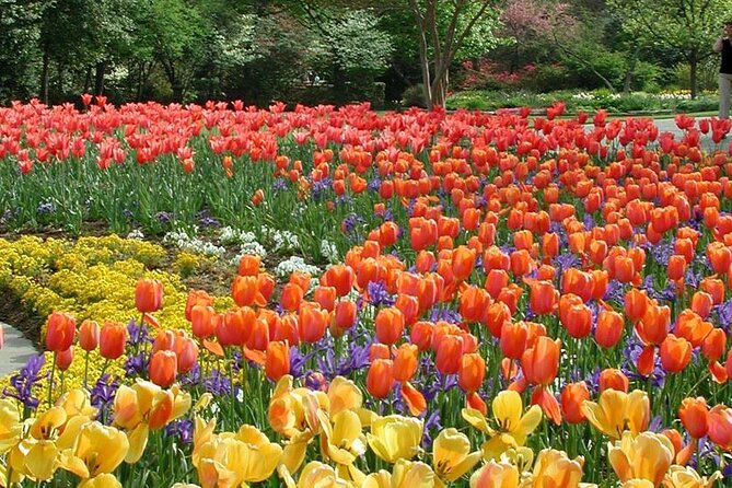 Dallas Arboretum and Botanical Gardens Tour - Water, shade, and koi at the Lay Family Garden