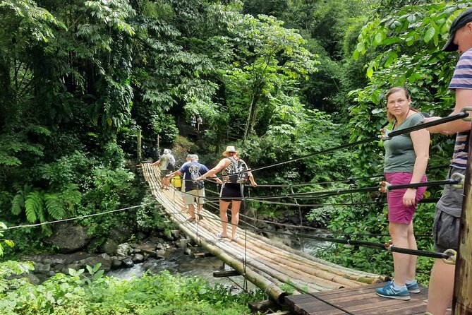 Dark View Falls & Botanical Gardens with Trubb Taxi Tours - Key points to know before you book