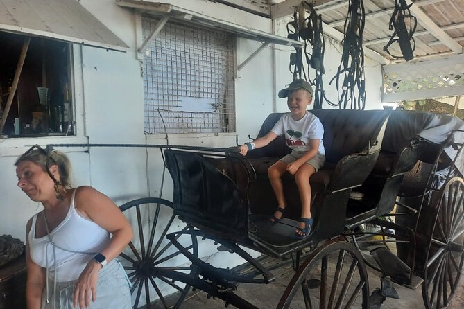 Dark View Falls & Botanical Gardens with Trubb Taxi Tours - Timing, meeting point, and the return to Kingstown
