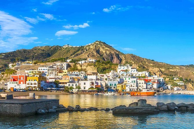 Day in Ischia in the Poseidon Gardens from Naples - Leaving Naples by private vehicle and hydrofoil