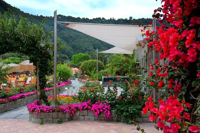 Day in Ischia in the Poseidon Gardens from Naples - Gardens, flowers, and the photo factor