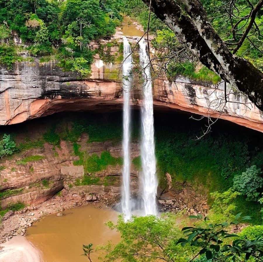 Day Tour Jardin de las Delicias - Four hours among falls, pools, plants, and animals