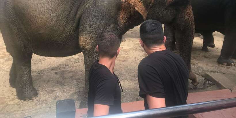Day Tour to Elephant Orphanage / spice garden - The spice garden, and why you should confirm it