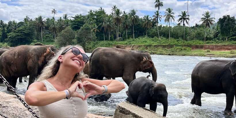Day Tour to Elephant Orphanage / spice garden - How much value do you get for $59?