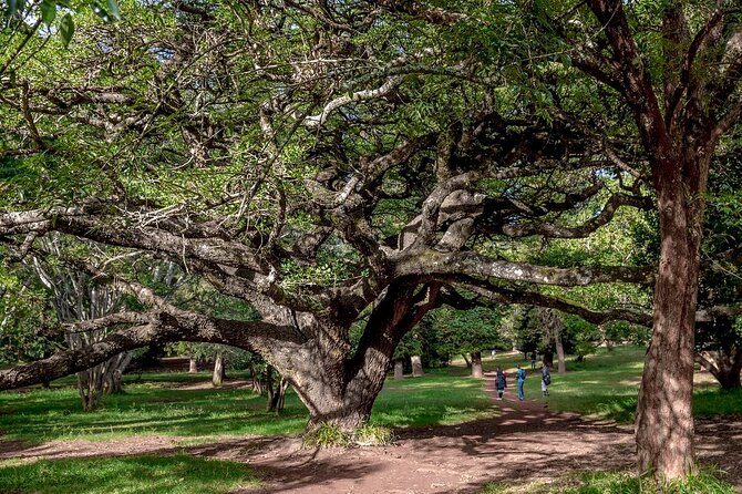 Day Tour to Nairobi Arboretum and Nairobi National Museum - Key points at a glance