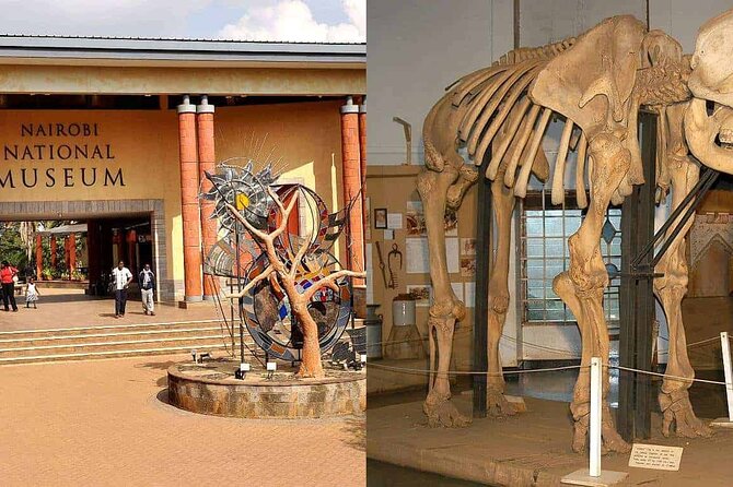 Day Tour to Nairobi Arboretum and Nairobi National Museum - From trees to Kenya’s national collection