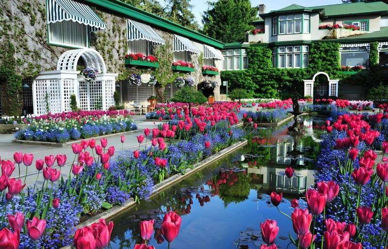 Day Trip from Vancouver to Victoria and Butchart Gardens - The return to Swartz Bay and Vancouver