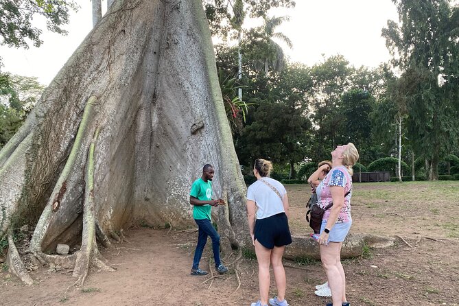 Day Trip Near Accra - Visit Aburi Gardens, Waterfall & Cocoa Farm - From Accra Traffic to the Aburi Hills