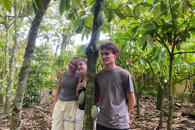 Day Trip Near Accra - Visit Aburi Gardens, Waterfall & Cocoa Farm - Practical Advice Before You Go