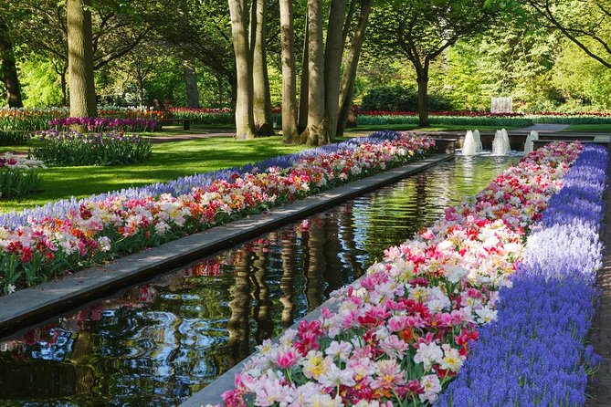 Day Trip to Keukenhof Gardens from Amsterdam with Tour Guide - The ride to Keukenhof