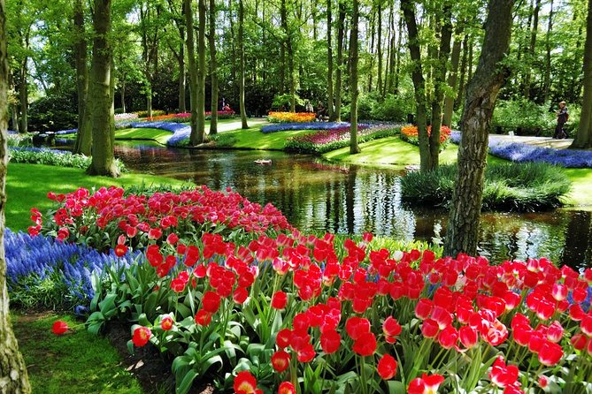 Day Trip to Keukenhof Gardens from Amsterdam with Tour Guide - Crowds, weather, and the best day to go