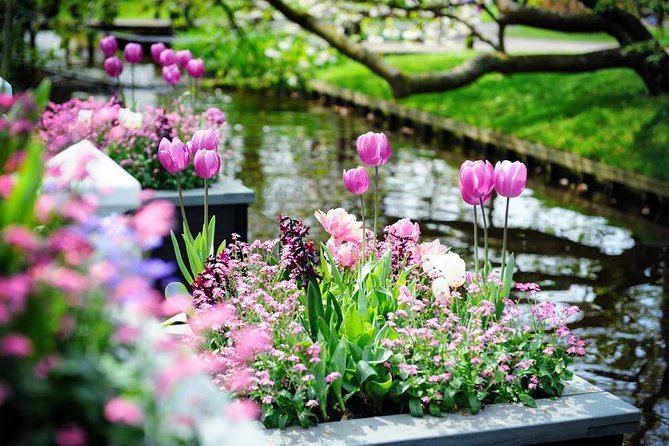 Day Trip to Keukenhof Gardens from Amsterdam with Tour Guide - Is $71.20 good value?