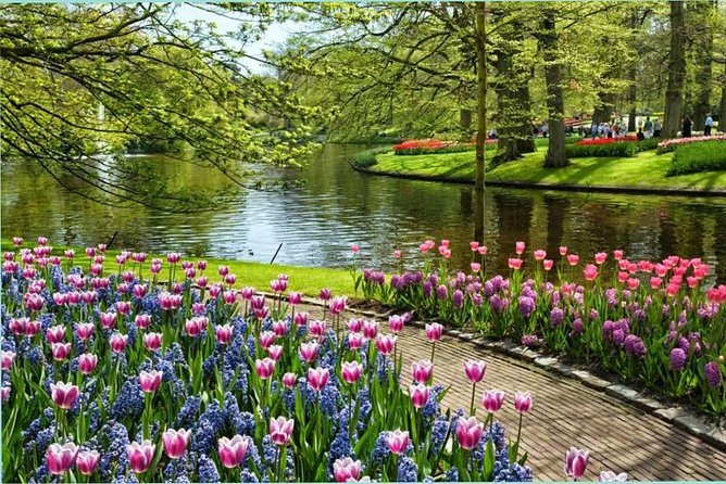 Day Trip to Keukenhof Gardens from Amsterdam with Tour Guide - What the guides add, and where the tour falls short