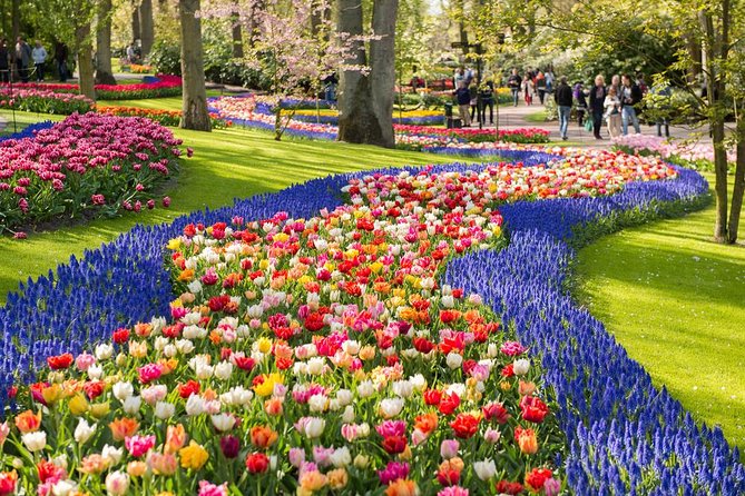 Day Trip to Keukenhof Gardens from Amsterdam with Tour Guide - Meeting in Amsterdam at 9:00 am