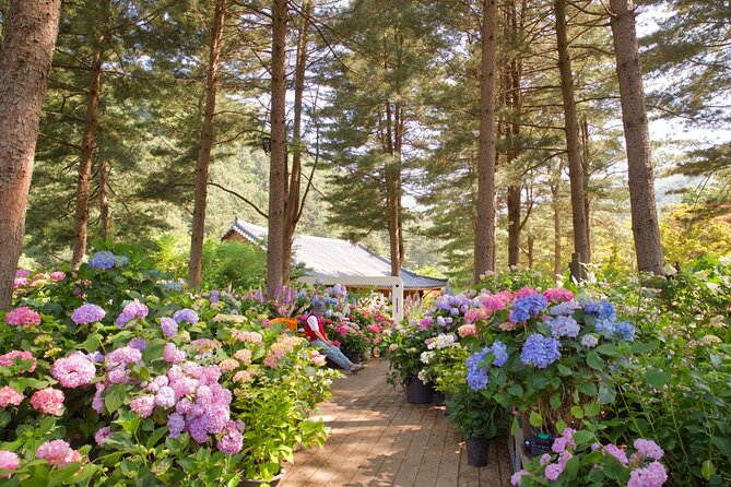 Day Trip to Nami Island with Rail bike and The Garden of Morning Calm - Gangchon Rail Park and the 6-kilometer ride