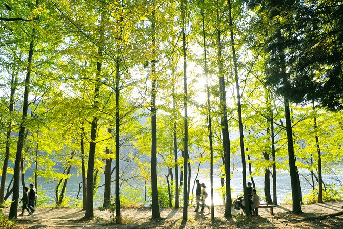 Day Trip to Nami Island with Rail bike and The Garden of Morning Calm - Timing, comfort, and what to bring