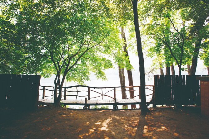Day Trip to Nami Island with The Garden of Morning Calm - Weather, crowds, and the best day to go