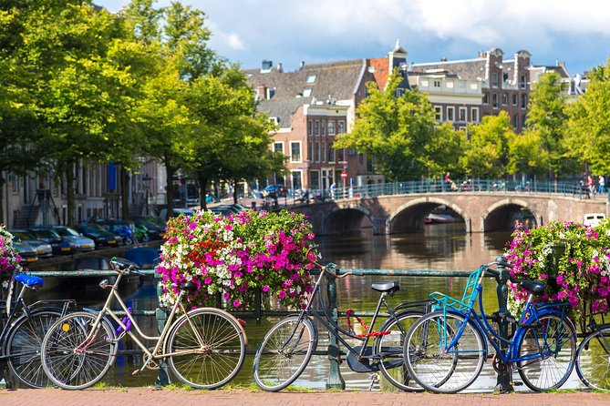 Day Trip To Tulip Gardens Of Keukenhof From Amsterdam: Private & Personalized - Why this private Keukenhof day trip works
