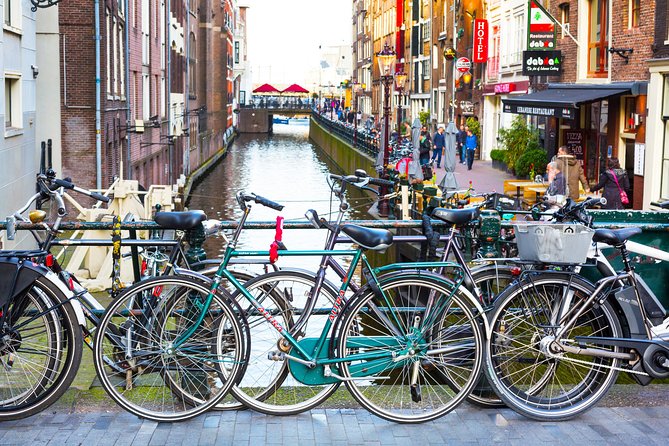 Day Trip To Tulip Gardens Of Keukenhof From Amsterdam: Private & Personalized - Cycling beyond the garden gates