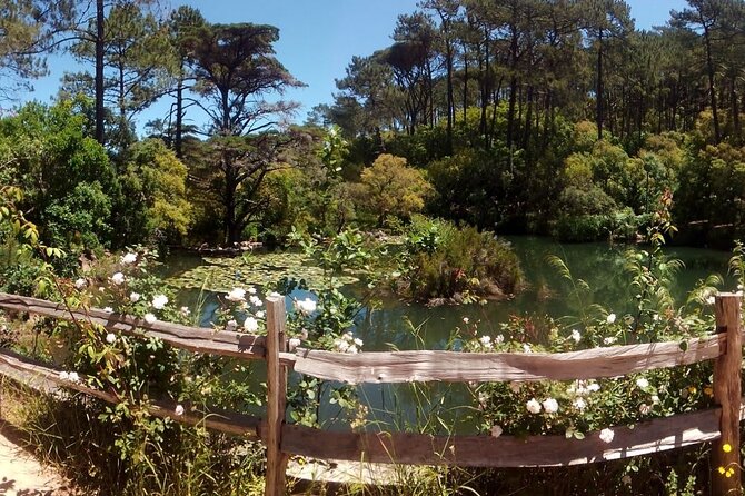 DE Lisbon to Sintra, Jardim DA Pena and Cascais - Guincho Beach and the road to Cascais