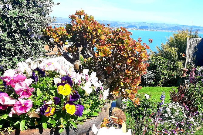 Deco Napier, Te Mata Peak, Garden Walk and Wine Tasting Tour - Askerne Vineyards and a serious pour of Hawke’s Bay wine