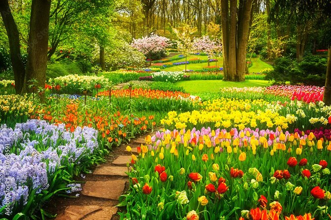 Delft and Keukenhof Gardens Tour from Brussels - The New Church and Delft’s royal connection