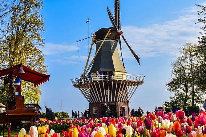 Delft and Keukenhof Gardens Tour from Brussels - Leaving Brussels at 8:00 am