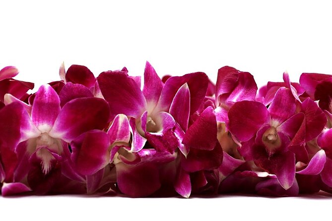 Deluxe Orchid Lei Greeting (Maui, Kahului Airport, OGG) - Key details to know before you book