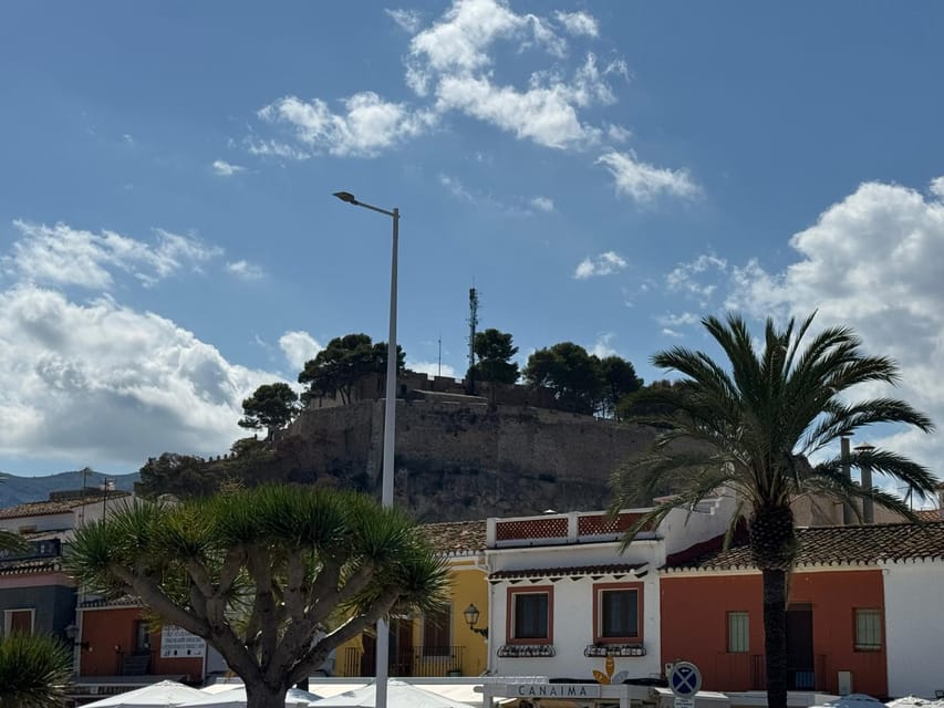 Denia and Mediterranean Gardens Day Trip - Why L’Albarda Gardens deserve the morning