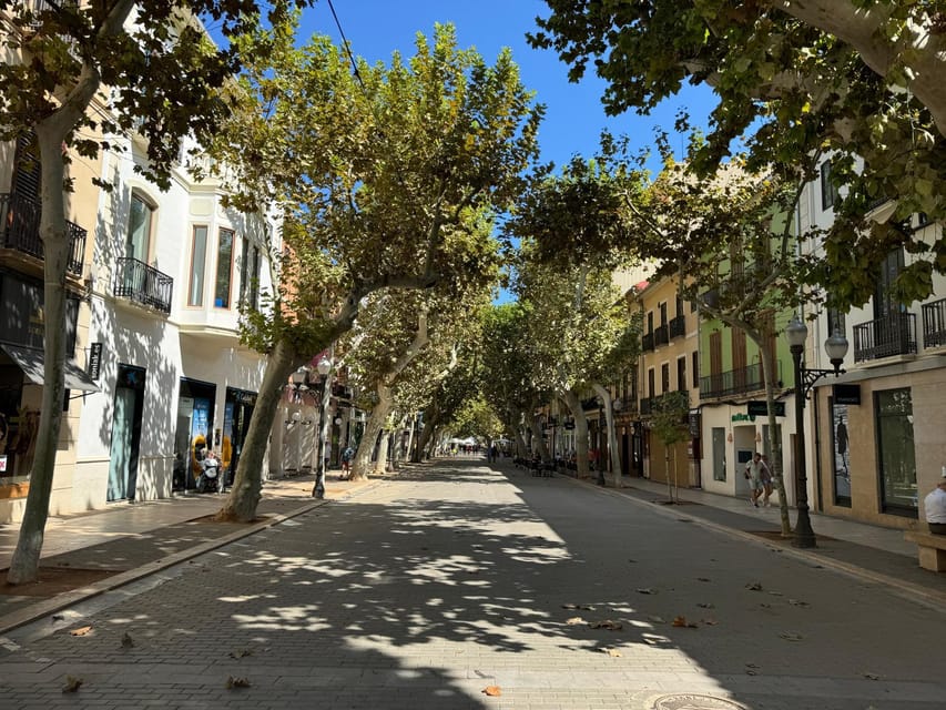 Denia and Mediterranean Gardens Day Trip - Denia gives you history, food, and a choice of pace