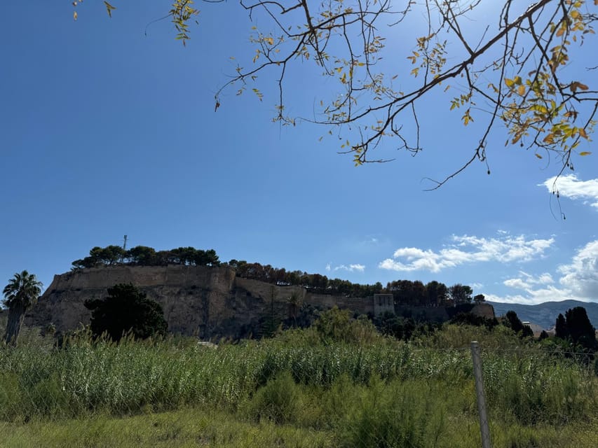 Denia and Mediterranean Gardens Day Trip - Should you book the L’Albarda and Denia trip?