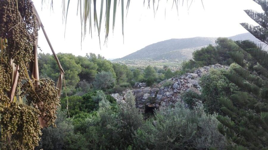 Denia: L'Albarda Garden Entry Ticket - A small café and the practical rhythm of a visit