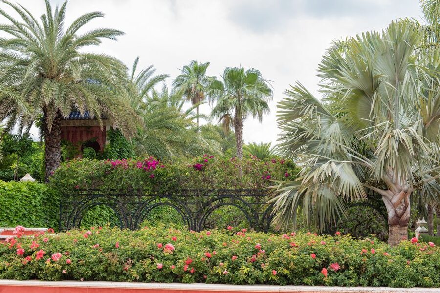 Denia: L'Albarda Garden Entry Ticket - Who will enjoy the garden most
