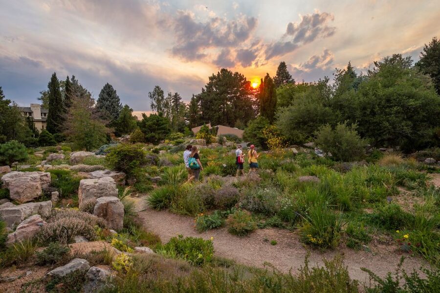 Denver Botanic Gardens General Admission Ticket - How to plan your day at York Street