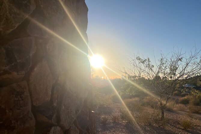 Desert Botanical Garden: Peaceful, All Inclusive Walking Tour PHX - Cactus candy, photos, and the useful little extras