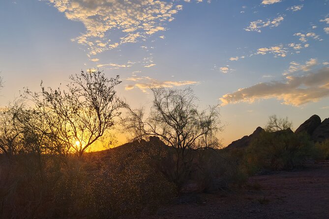 Desert Botanical Garden: Peaceful, All Inclusive Walking Tour PHX - A private format that leaves room for curiosity