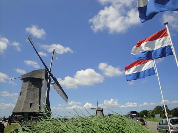 Discover Holland’s Beautiful Tulip Fields with an Expert Guide - Key points to know before booking