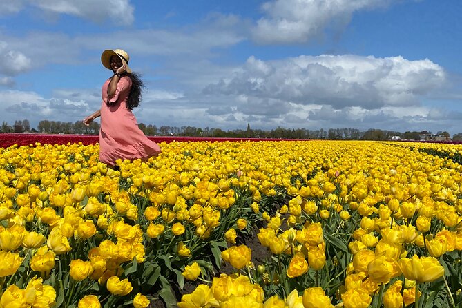 Discover Holland’s Beautiful Tulip Fields with an Expert Guide - Twisk: the first tulip field