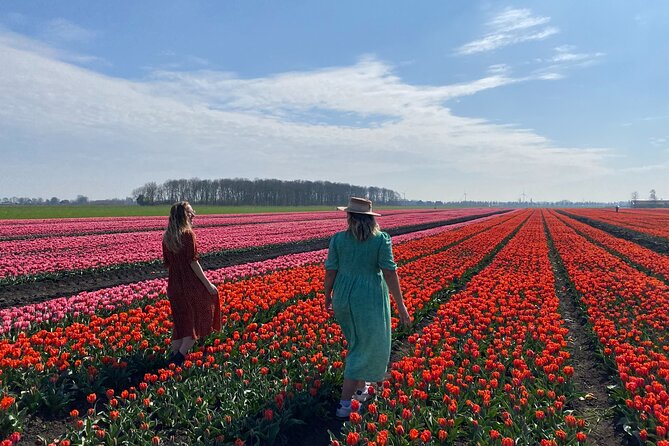 Discover Holland’s Beautiful Tulip Fields with an Expert Guide - Onderdijk lunch and village scenery
