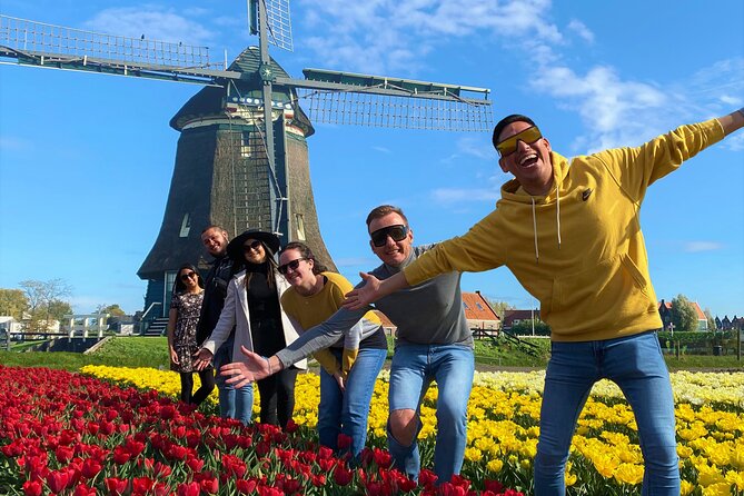 Discover Holland’s Beautiful Tulip Fields with an Expert Guide - Transport, group size, and comfort